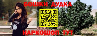 дживик Нальчик
