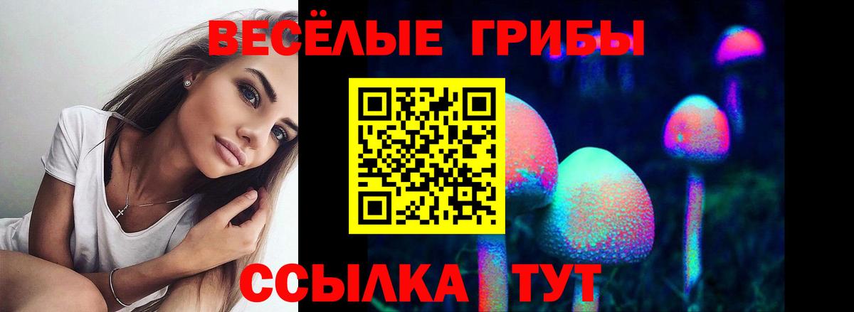 Евпатория  купить  сайты  Псилоцибиновые грибы Psilocybe  Вход с VPN  Псилоцибиновые грибы Magic Shrooms 