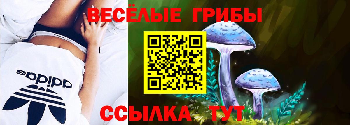 Псилоцибиновые грибы мицелий Евпатория